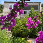 Apartament Charming Seafront At Mara Dubrownik